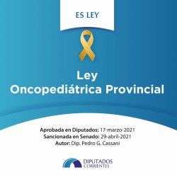 La Ley Oncopediátrica ya es una realidad en Corrientes