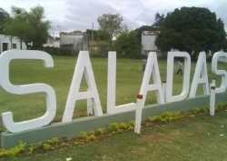 Cómo es la cepa de Manaos que se detectó en Saladas y por qué es tan peligrosa