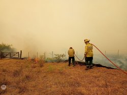 Fuego en Corrientes: Conozca cómo están los distintos focos activos en la Provincia