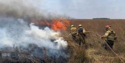 Aseguran que los incendios en la provincia "empeora todos los días" 