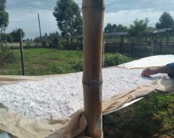 Productores de harina de mandioca de Colonia San Antonio recibieron equipamiento del Gobierno Nacional