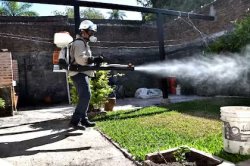 Alerta por casos de dengue: Recomiendan el uso de repelentes en viajes a Corrientes Capital