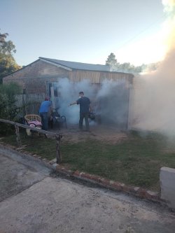 Sigue la lucha contra el dengue en Saladas