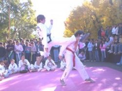 Taekwondo y graffiti por la patria