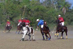 ERSA Polo Team va por la de Plata ante los locales