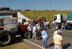 Paro del campo: nula comercialización de ganado y granos en la Provincia