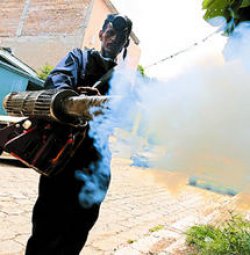 Sesenta casos de dengue en Corrientes
