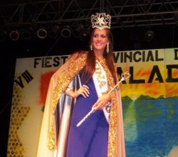 Comenzó la VIIIº Fiesta Provincial de la Miel