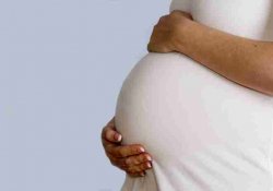 Por Gripe A, prorrogan licencias a embarazadas hasta el 1 de septiembre