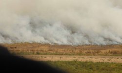 Defensa Civil informó que continúan prendidos 82 focos de incendios en todo el territorio correntino