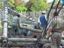 Saladas: Luego del granizo buscan que se declare la emergencia