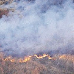El fuego arrasó con 800 hectáreas del parque de Mburucuyá