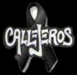 Callejeros vuelve a los escenarios