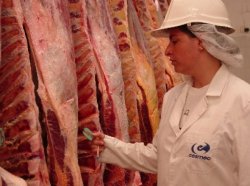 Se normaliza la exportación de carne