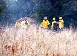 “Por impericia y mal uso del fuego perdimos una gran superficie del parque”