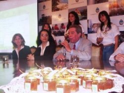 En el Salón Verde de Casa de Gobierno Saladas lanzó la VI Fiesta de la Miel