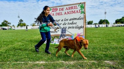 Desfile de Mascotas 20 Años: Celebrando con Amor y Compromiso Animal