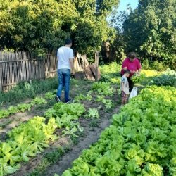 Buscan crear en Saladas un programa municipal de huertas y entrega de semillas